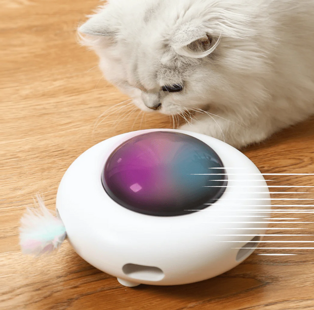 MioGattelier™ - UFO Interattivo per Gatti