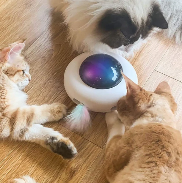 MioGattelier™ - UFO Interattivo per Gatti