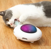 MioGattelier™ - UFO Interattivo per Gatti