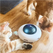 MioGattelier™ - UFO Interattivo per Gatti